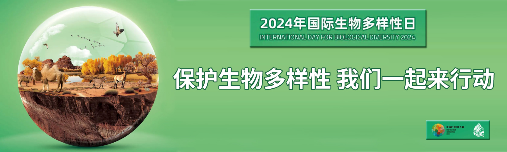 国际生物多样性日保护生物多样性-我们一起来行动.jpg