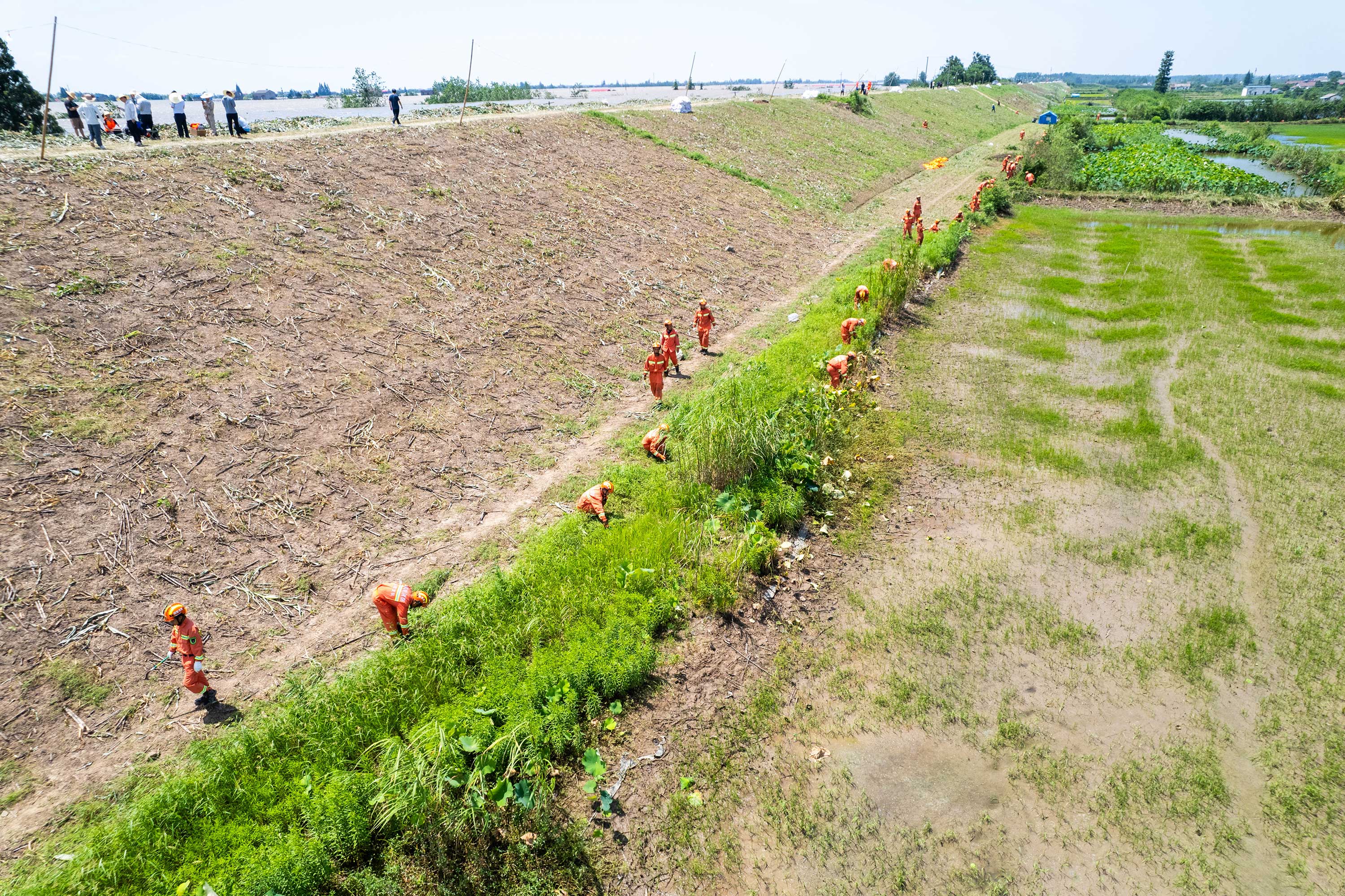 4抢险人员在钱团间堤清基扫障.jpg